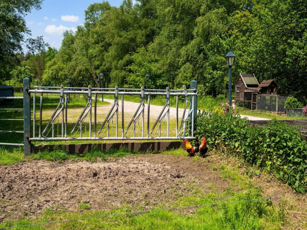 A Lovely Cottage On The Dwingelderveld Nature Park Beilen Luaran gambar